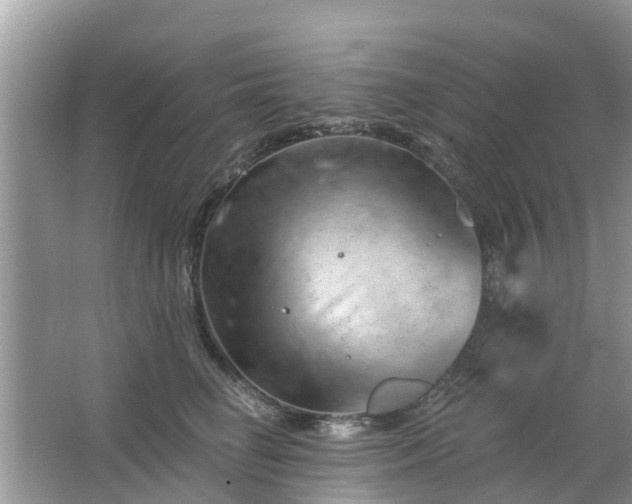 X0000063450662200601231353