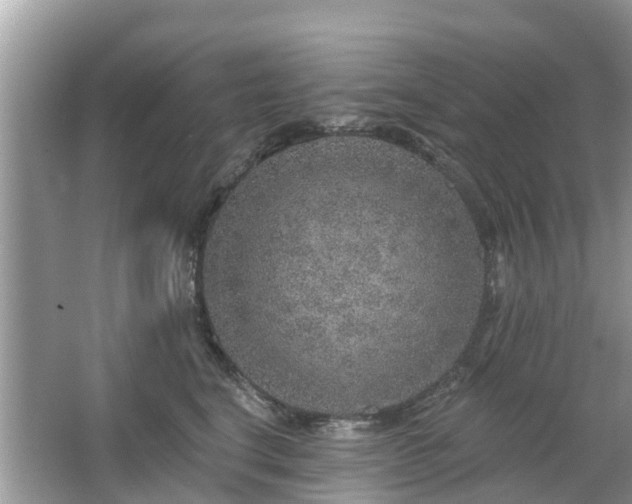 X0000063450664200601231353