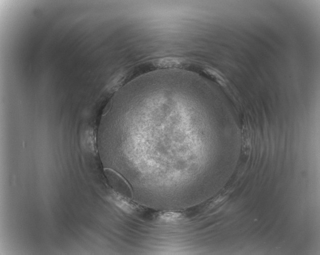 X0000063450669200601231353