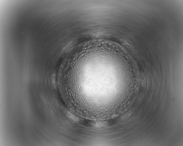 X0000063450670200601231353