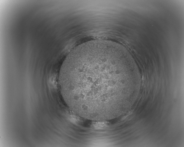 X0000063450671200601231353