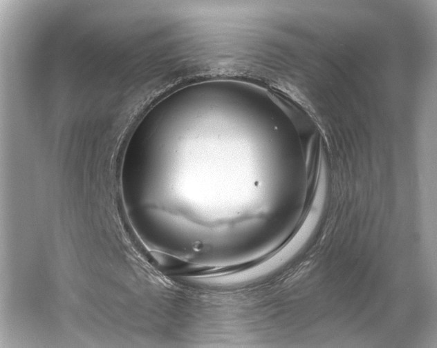 X0000063450673200601231353