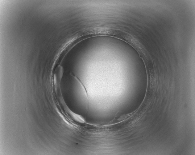 X0000063450674200601231353