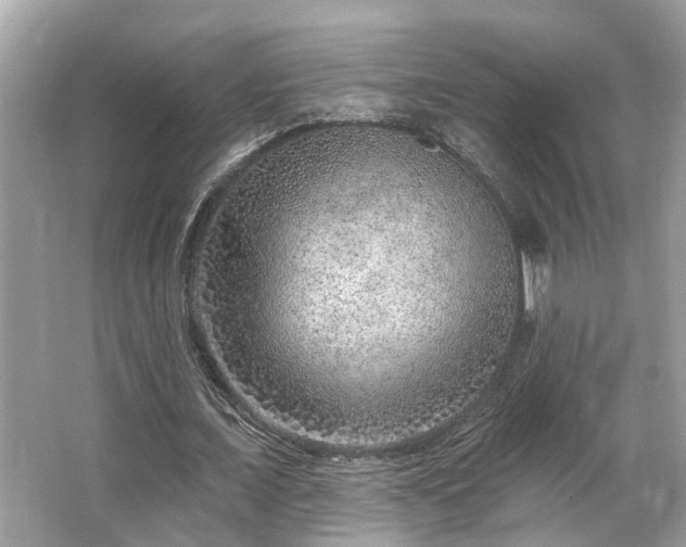 X0000063450675200601231353