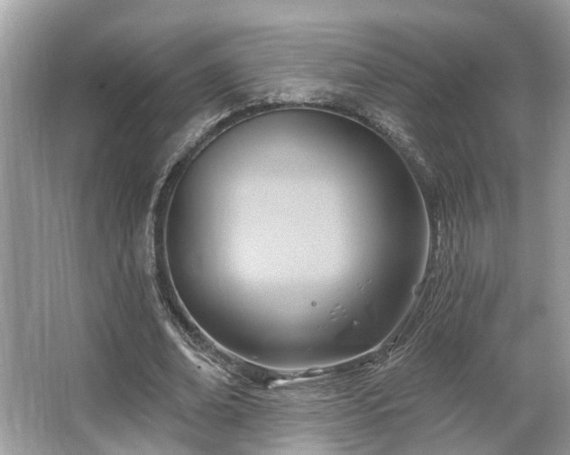 X0000063450678200601231353