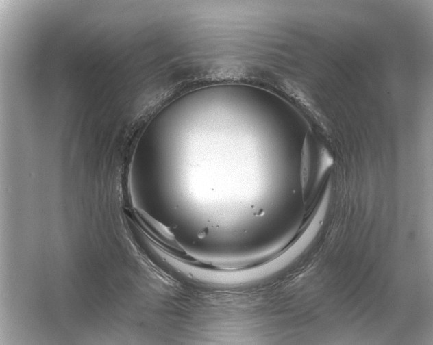 X0000063450681200601231352