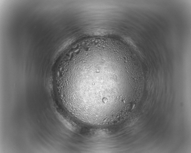 X0000063450683200601231352