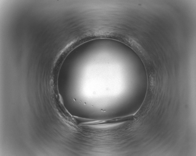 X0000063450684200601231352