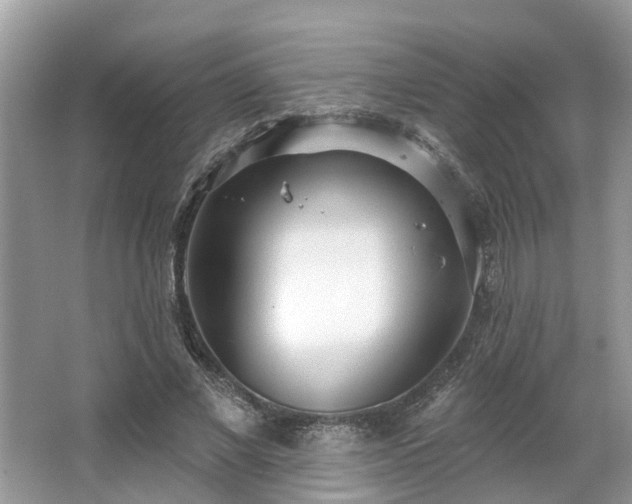 X0000063450685200601231352