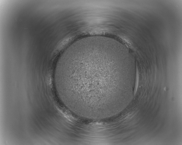 X0000063450687200601231352