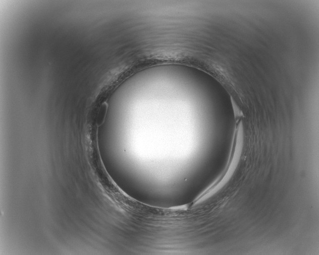 X0000063450688200601231352