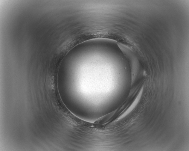 X0000063450689200601231352