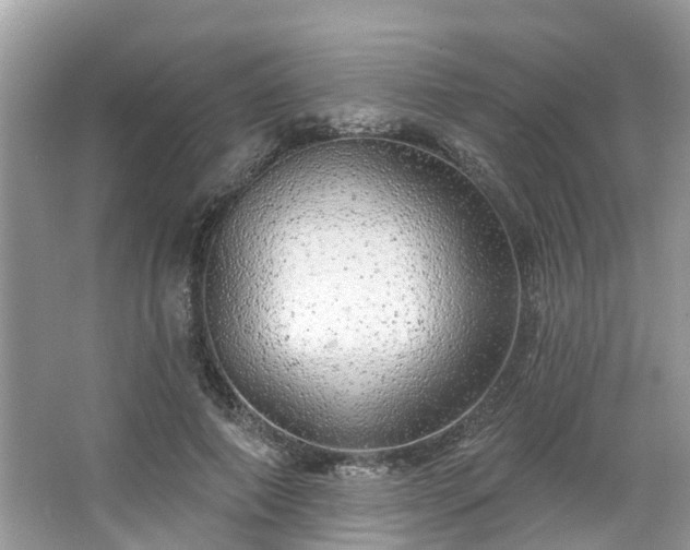 X0000063450690200601231352