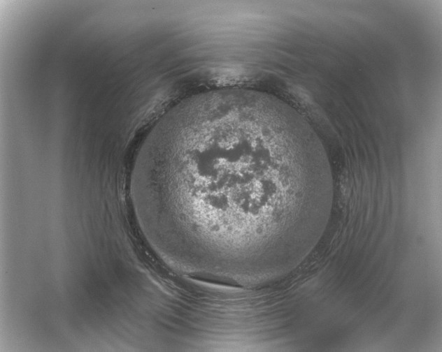 X0000063450691200601231352