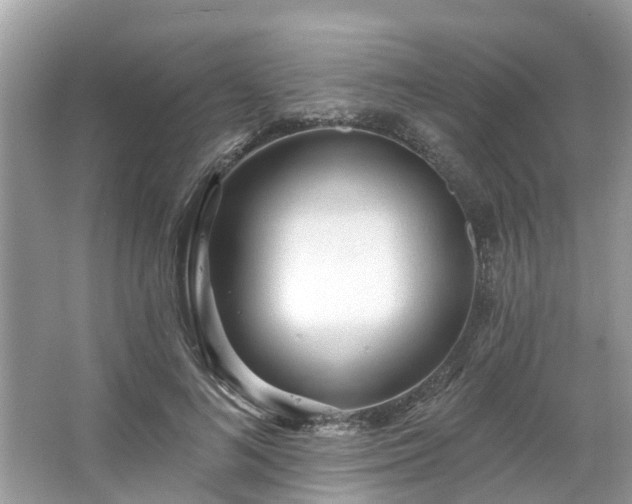 X0000063450692200601231352