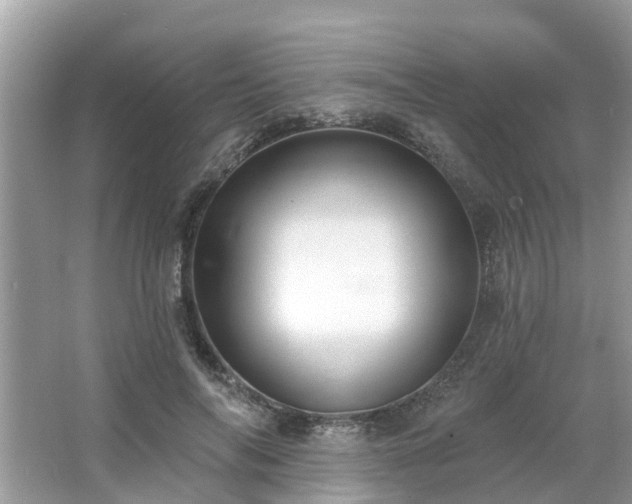 X0000063450694200601231352