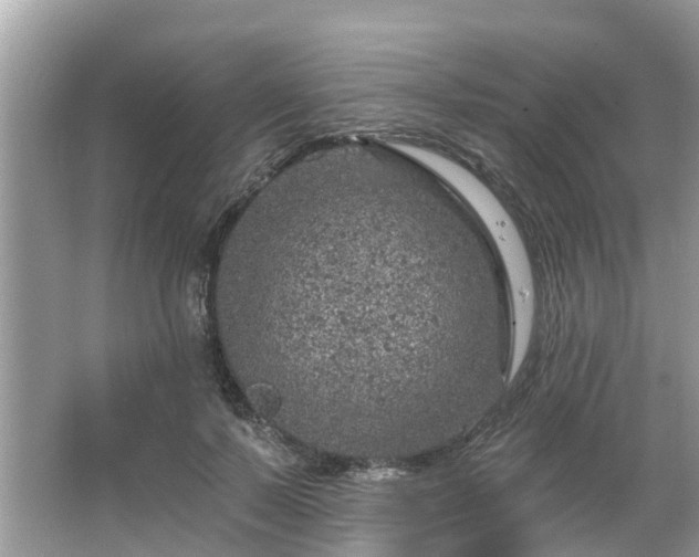 X0000063450695200601231352