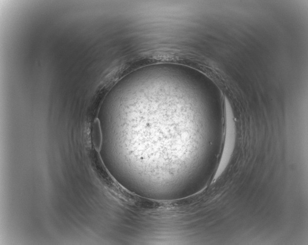 X0000063450696200601231352