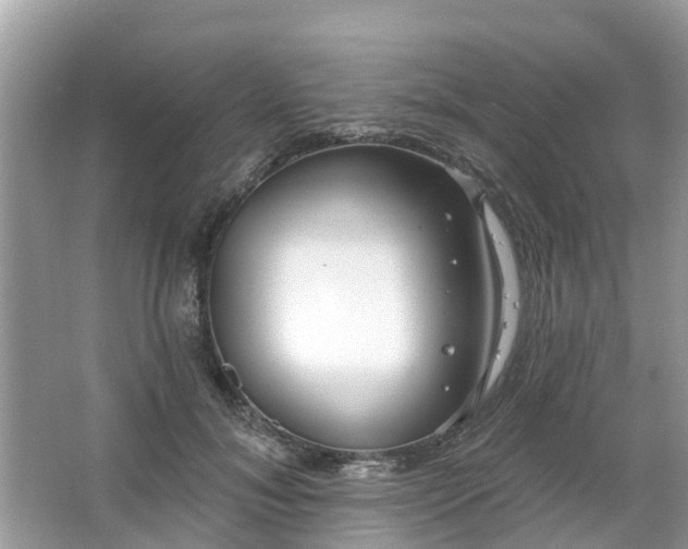 X0000063450700200601231352