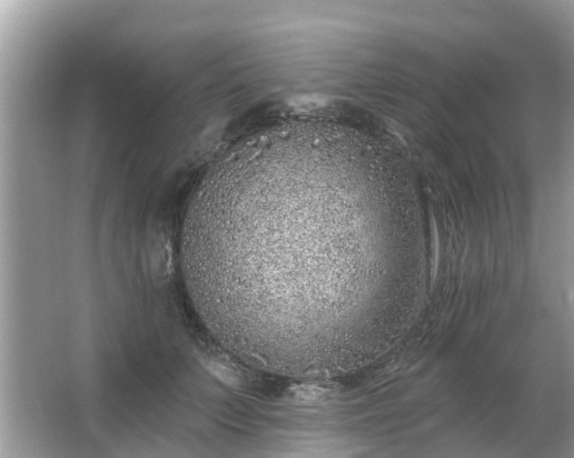 X0000063450703200601231352