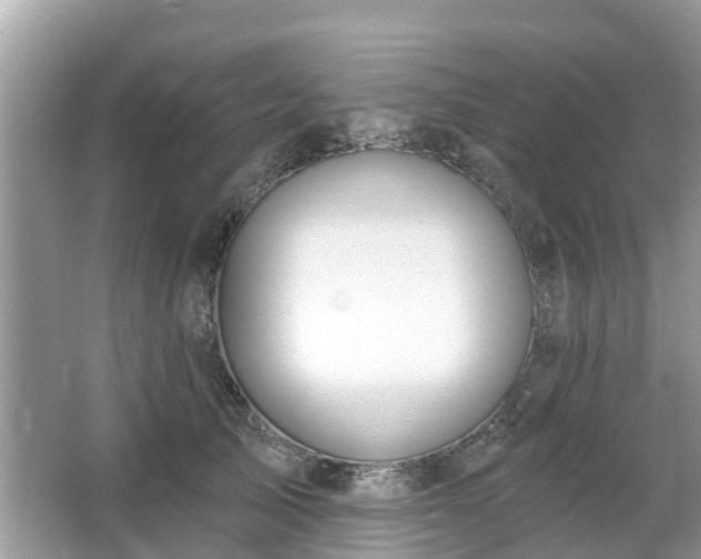 X0000063450705200601231352