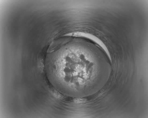 X0000063450707200601231352