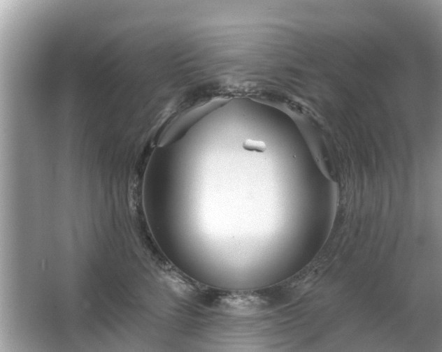 X0000063450712200601231352