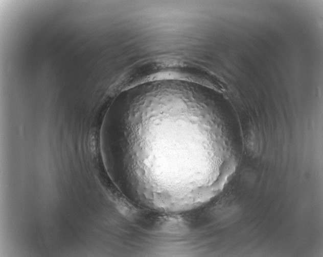 X0000063450715200601231352