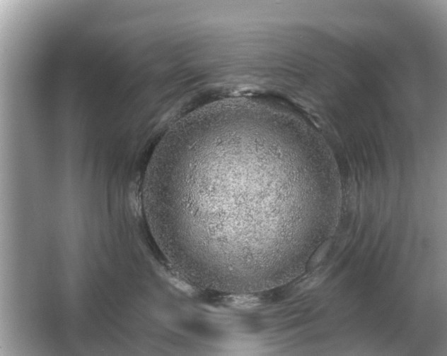 X0000063450719200601231352