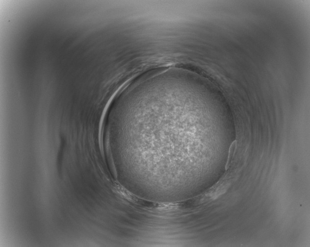 X0000063450720200601231352