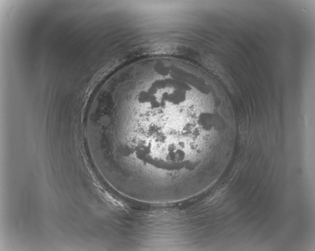 X0000063450721200601231351