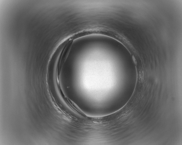 X0000063450724200601231351