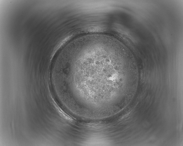 X0000063450725200601231351