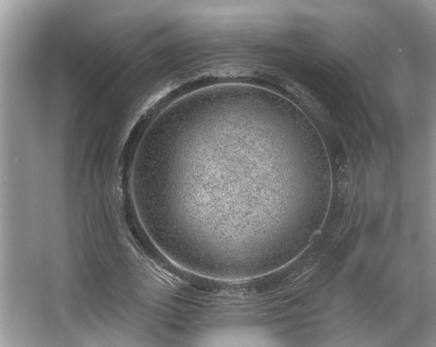 X0000063450727200601231351