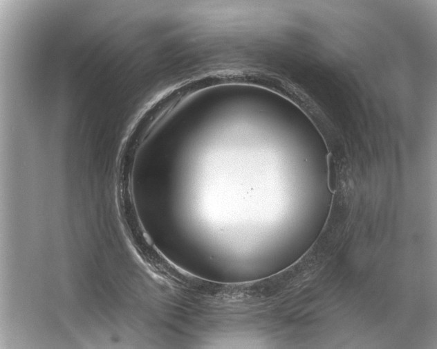 X0000063450728200601231351