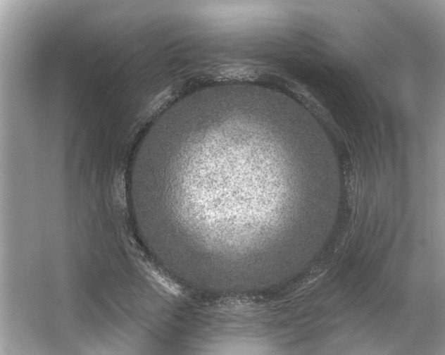 X0000063450729200601231351