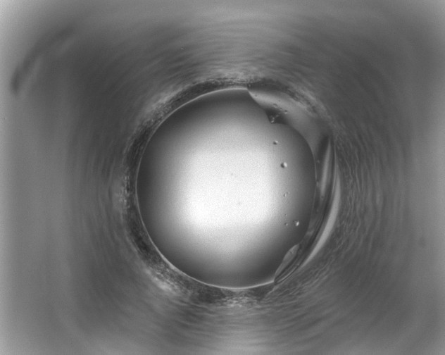 X0000063450736200601231351