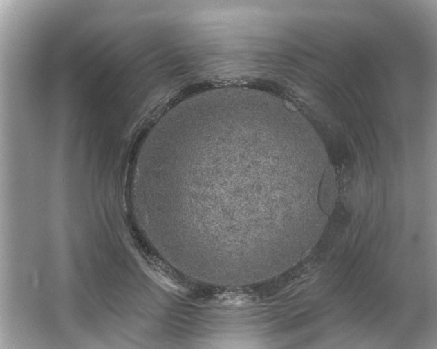 X0000063450742200601231351