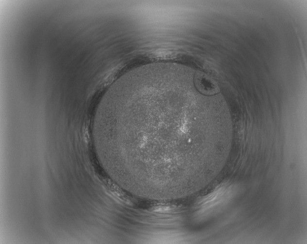 X0000063450746200601231351