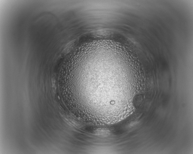 X0000063450749200601231351