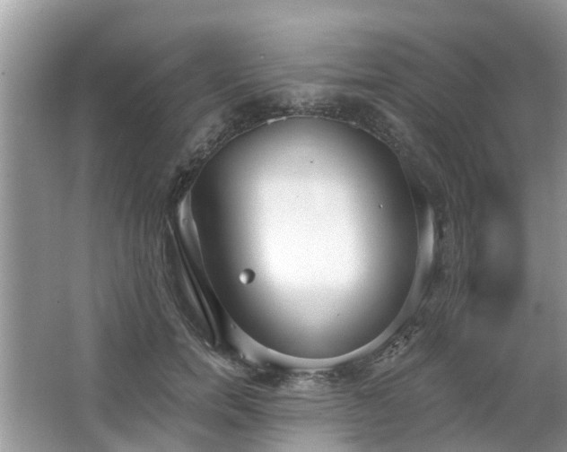 X0000063450750200601231351