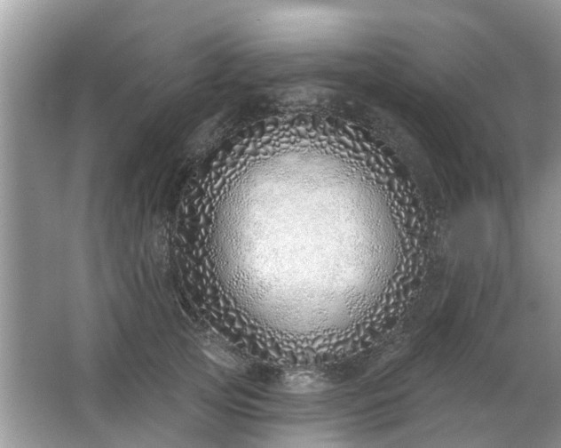 X0000063450753200601231351