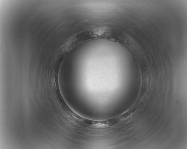 X0000063450754200601231352