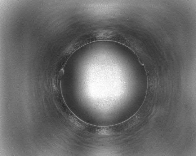 X0000063450755200601231352