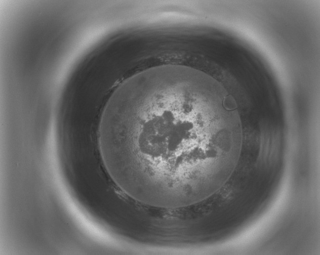 X0000063450765200601231352