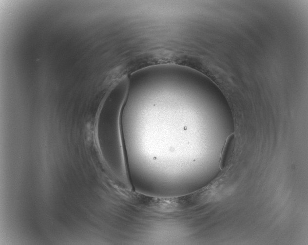 X0000063450768200601231352