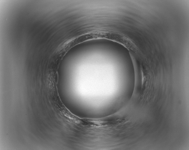 X0000063450773200601231351