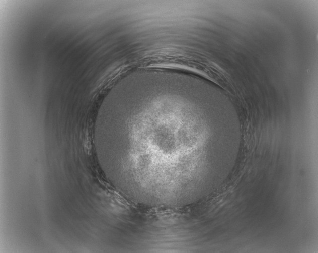 X0000063450774200601231351