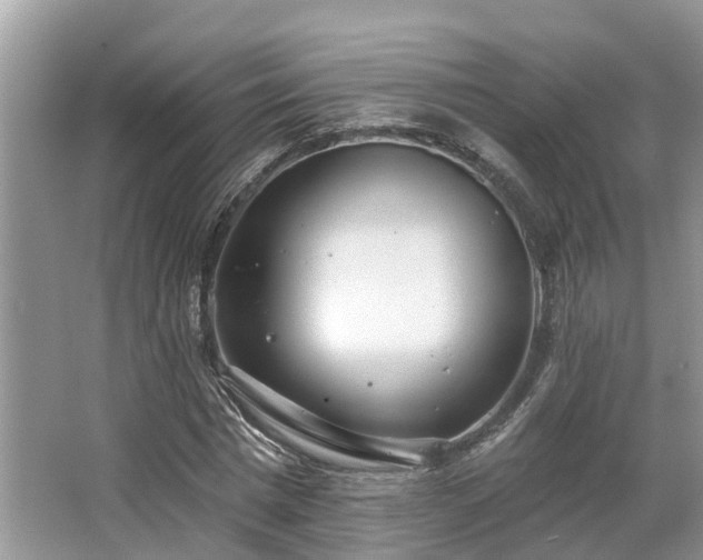 X0000063450777200601231351