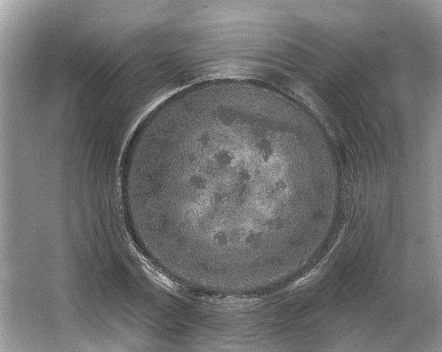 X0000063450779200601231351